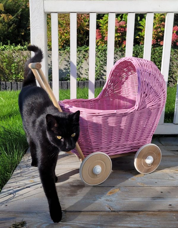 Wicker doll pushchair - pink - Image 6